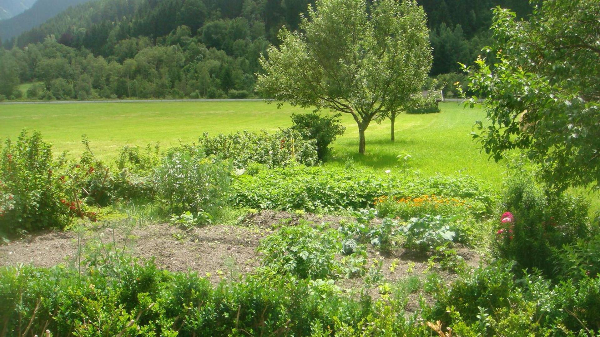 Bio-Bauernhof Obertrattenbachhof Villa Neukirchen am Großvenediger Екстериор снимка