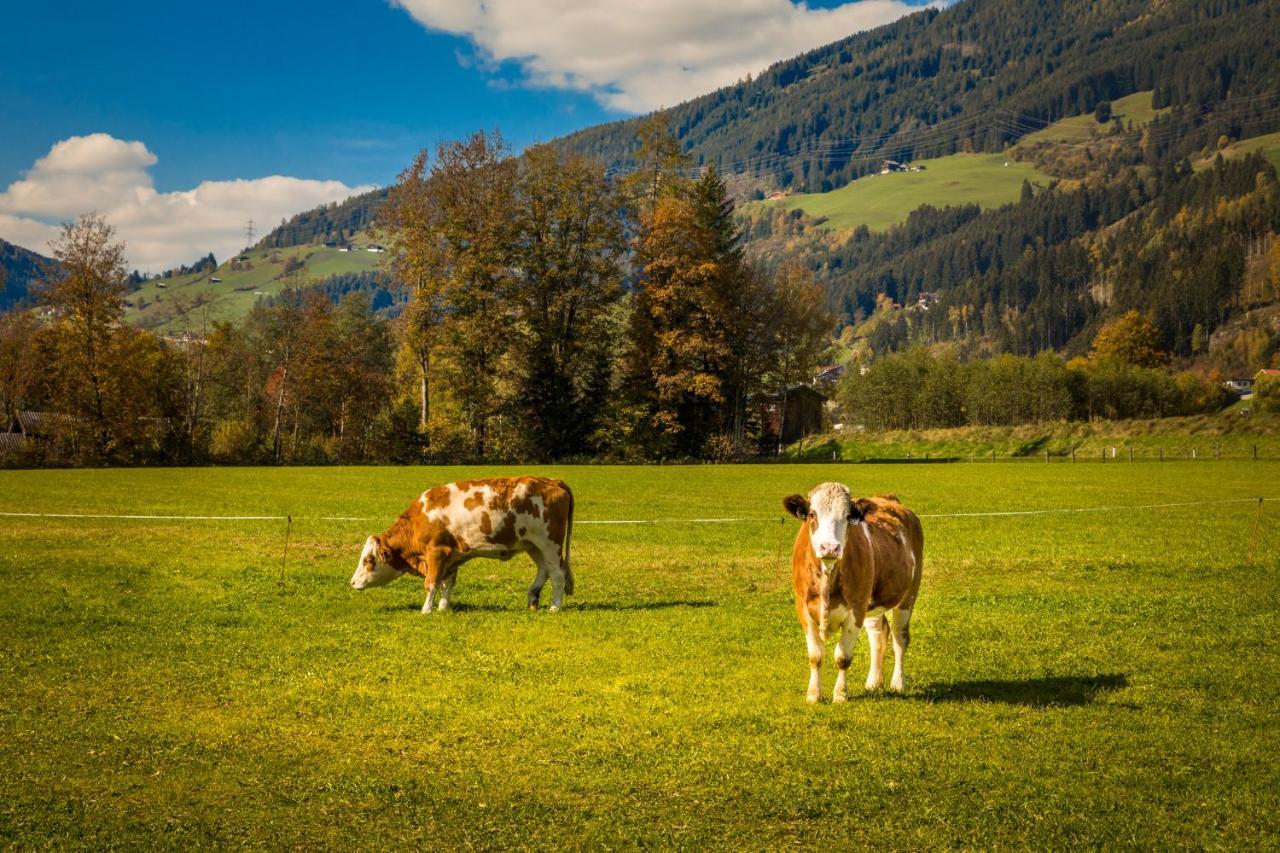 Bio-Bauernhof Obertrattenbachhof Villa Neukirchen am Großvenediger Екстериор снимка